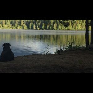 Meet your Posher, Annie